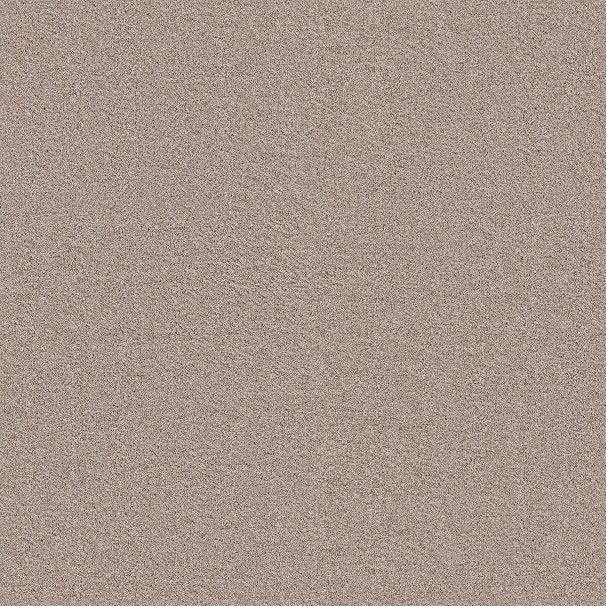 Ambiant Baltimore Nougat 0035