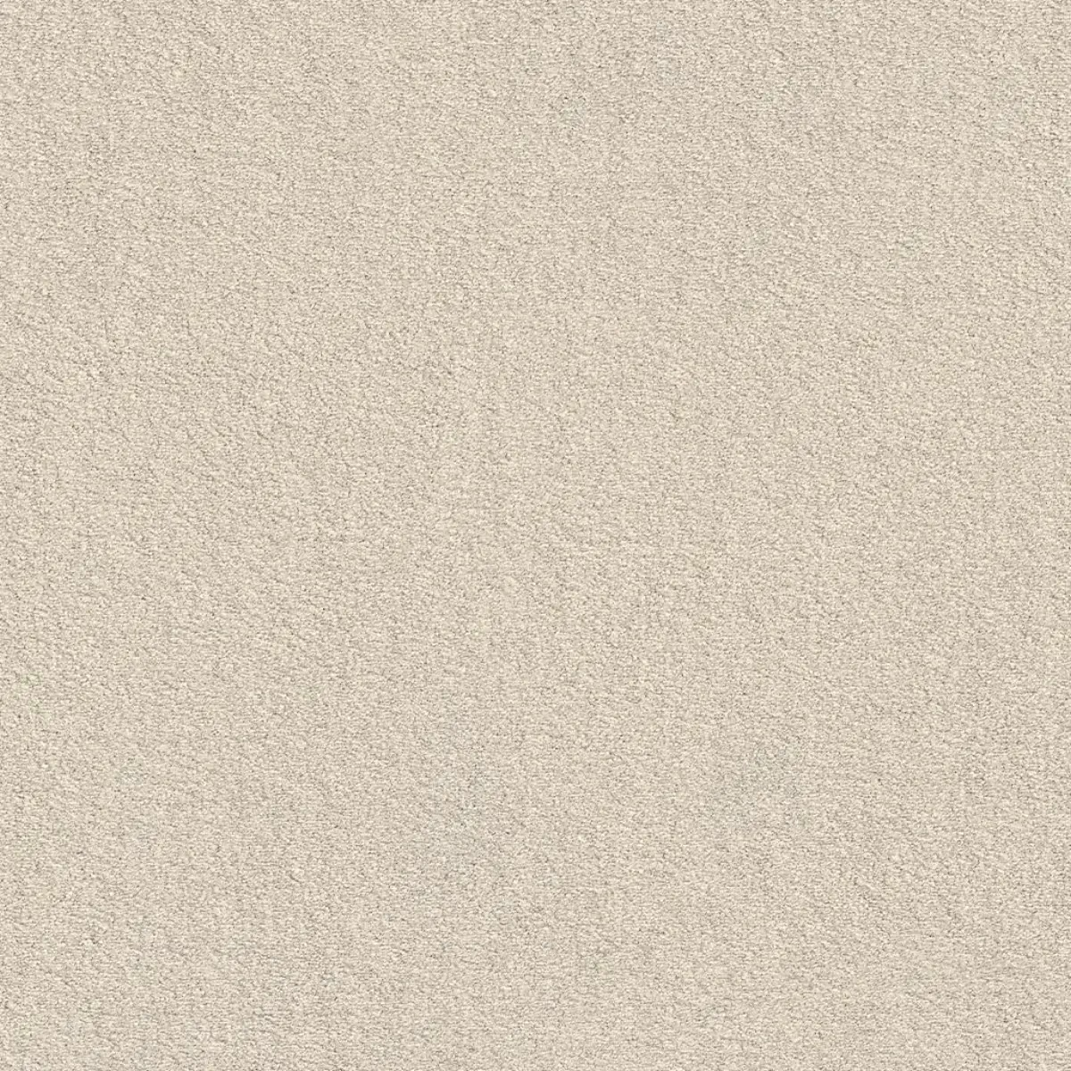 Ambiant Glendale Champagne 0030