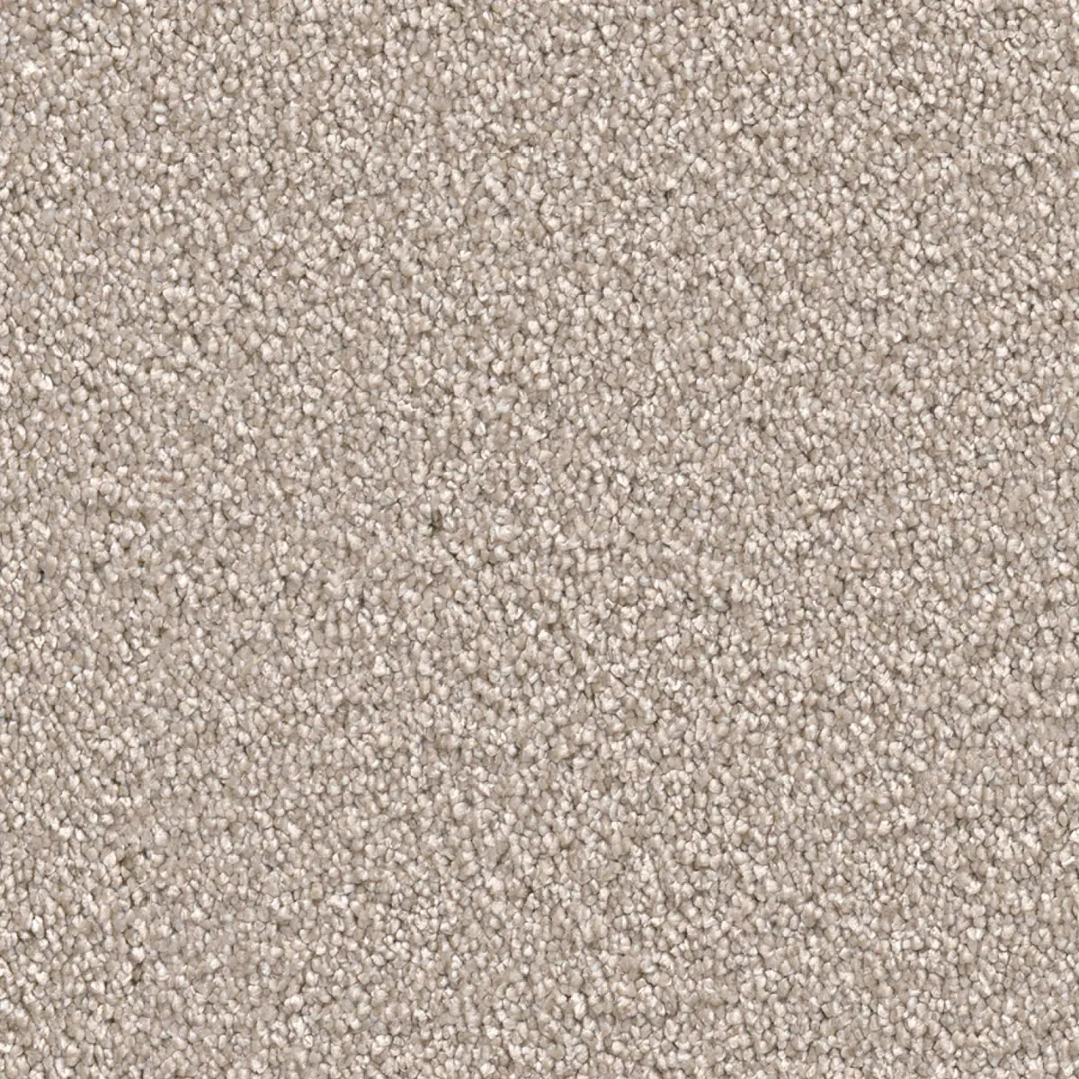 Ambiant Tide Gallia Creme 0005