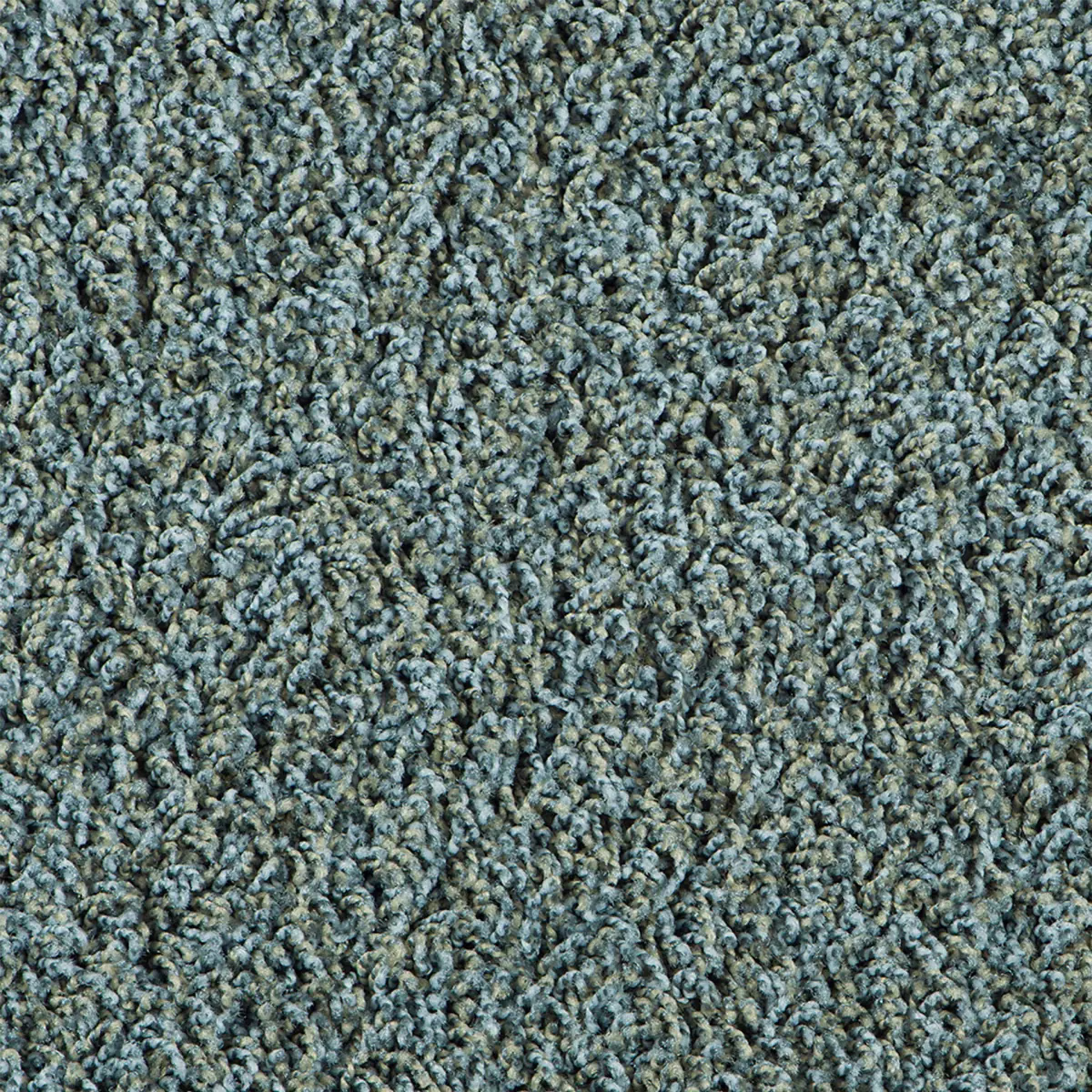 Bonaparte Vincent 221