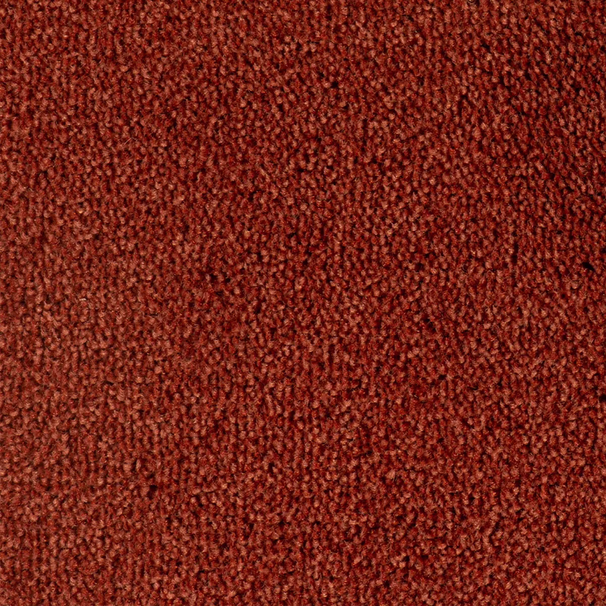 Parade Colour King 111