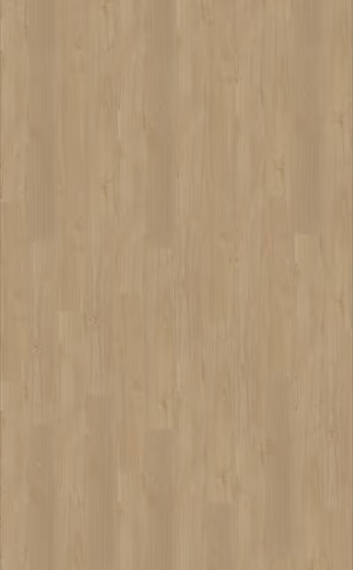 Belakos Portico 560 Rigid Click