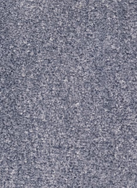 81