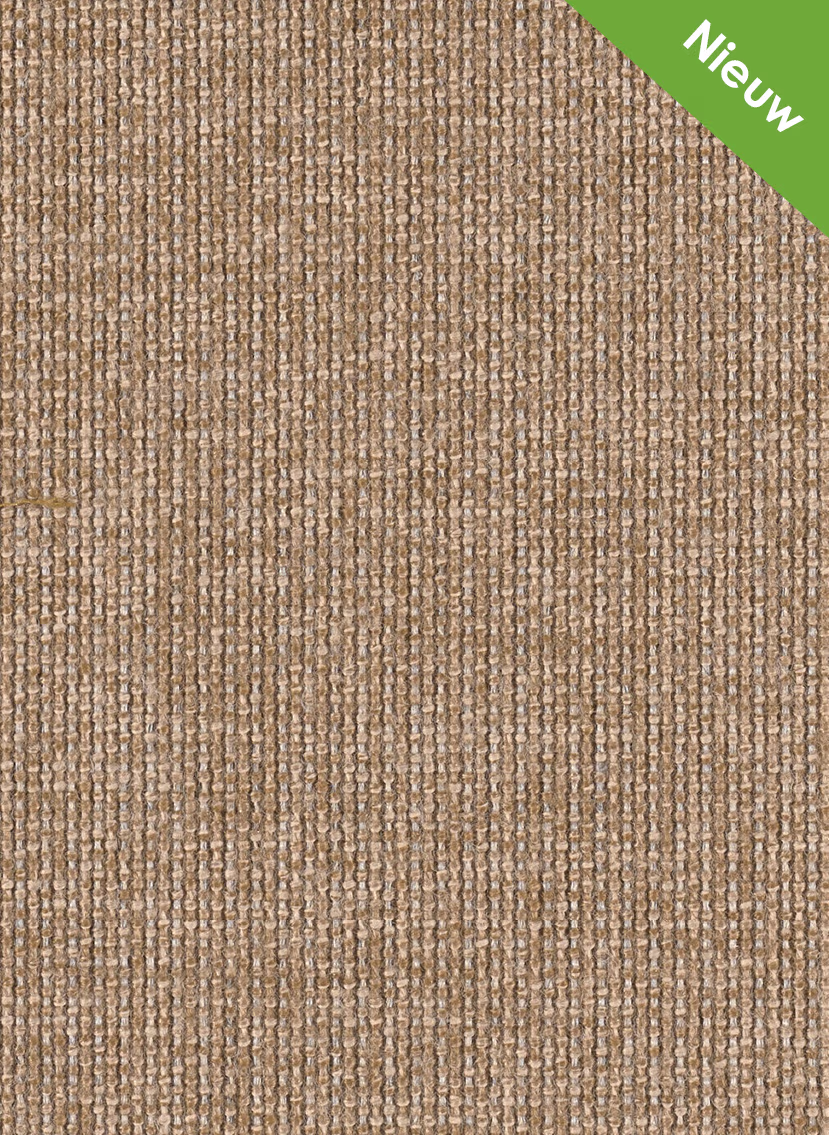 Gelasta Jutta 334