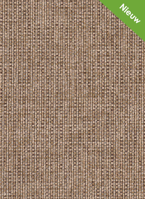 344
