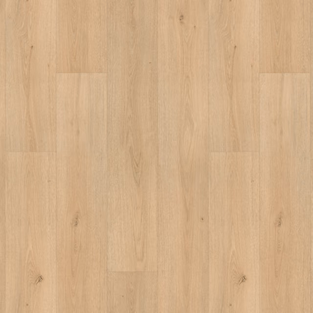 beige 6904