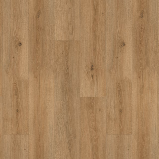 bruin 6902