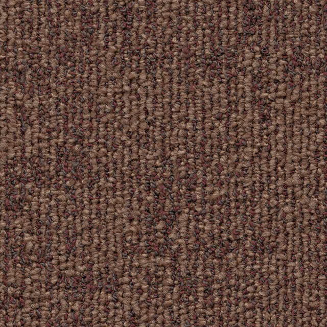 Terra 0645