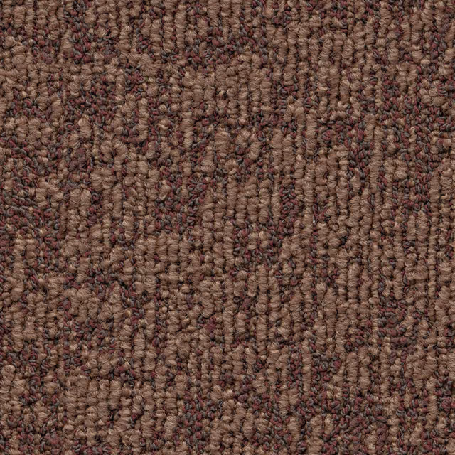 Terra 0645