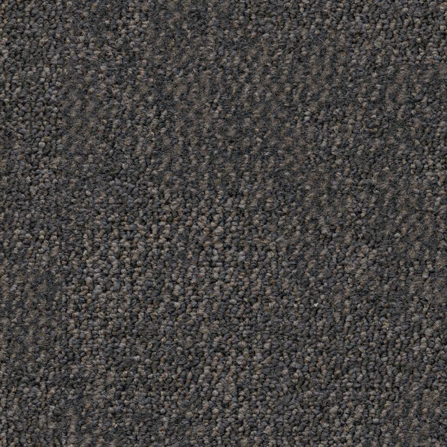 Greige 0195