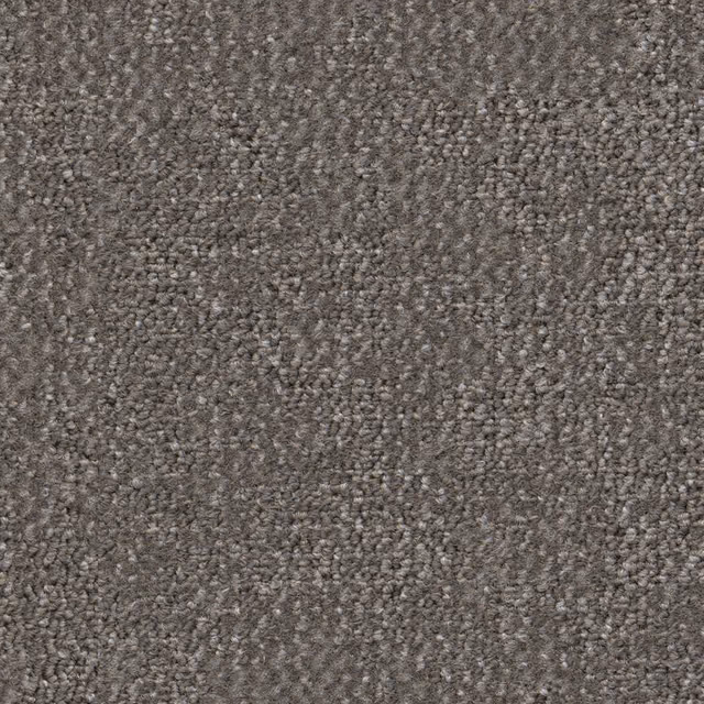 Taupe 0535