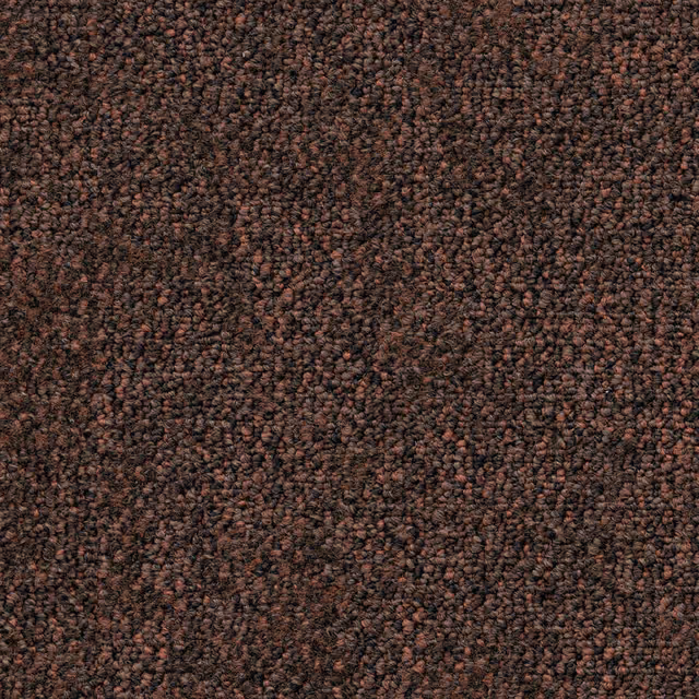 Terra 0645