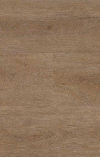 Ambiant Robusto Dark Oak