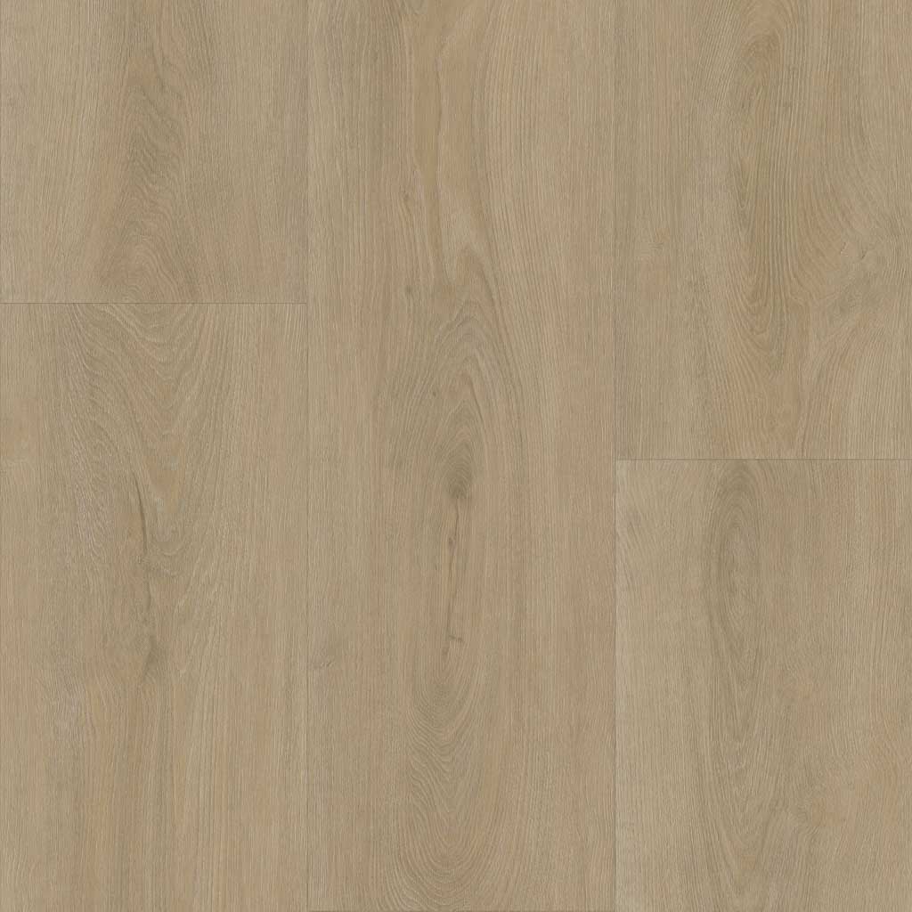 Ambiant Robusto Beige