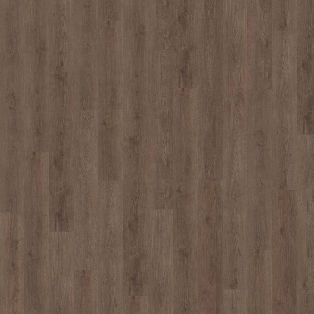 Belakos Monastro 900