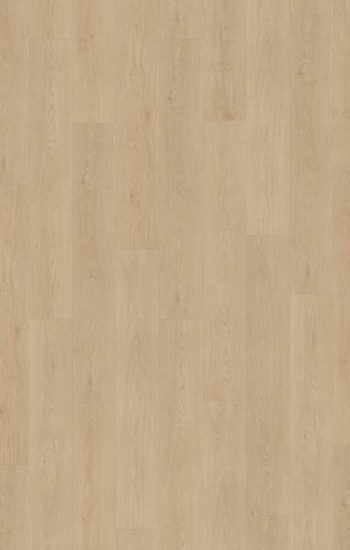 Belakos Monastro 920