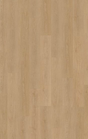 Belakos Monastro 930