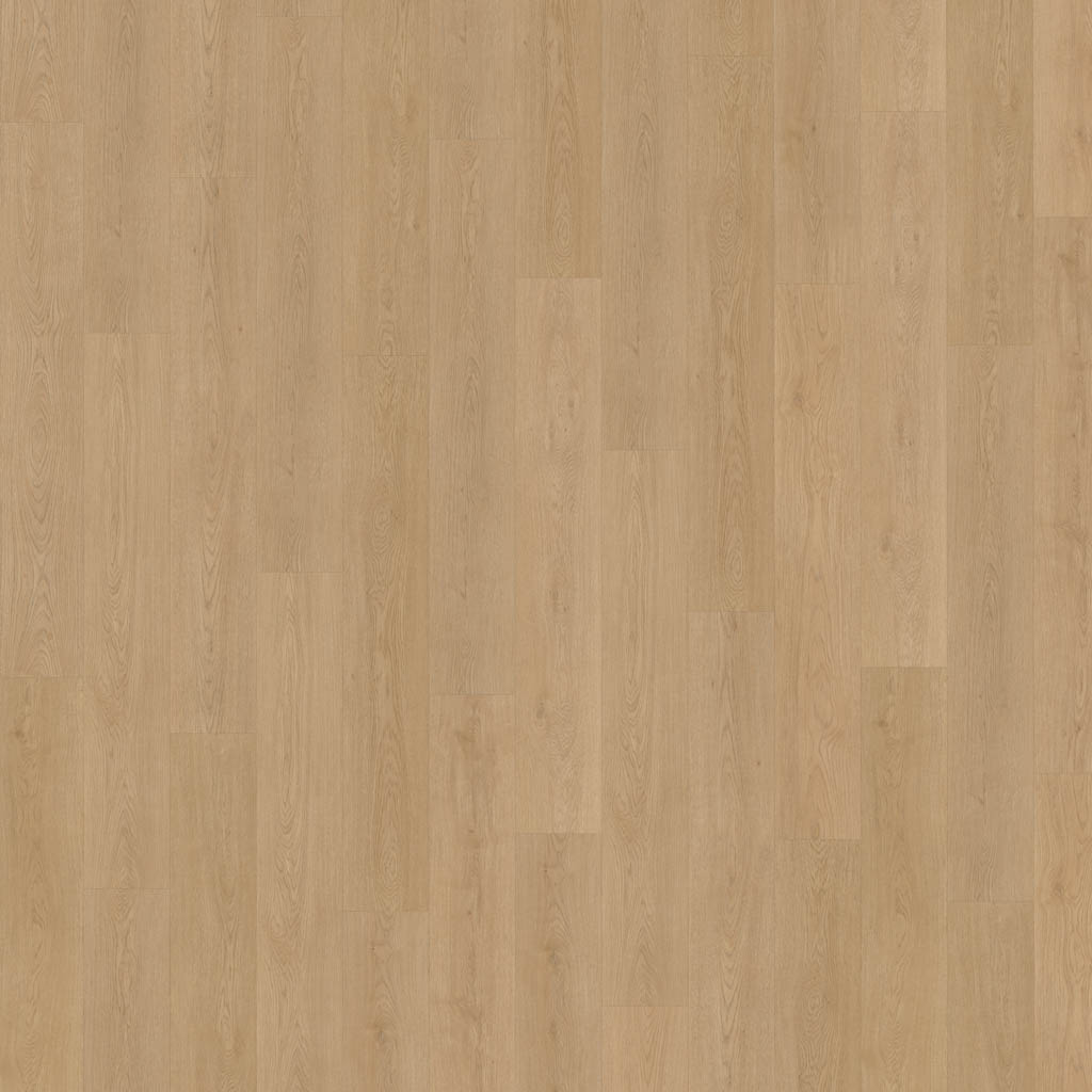 Belakos Monastro 930