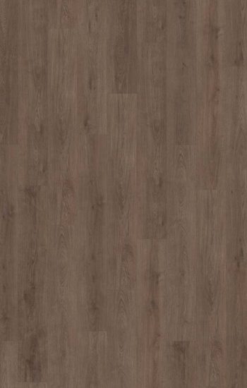 Belakos Monastro Rigid Click 900