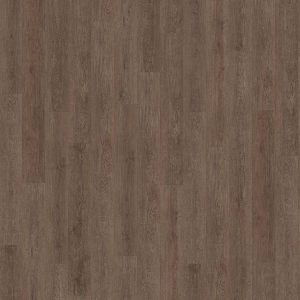 Belakos Monastro Rigid Click 900