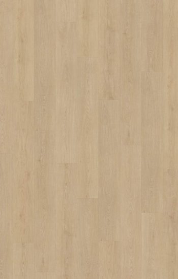 Belakos Monastro Rigid Click 920