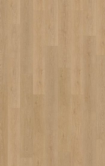 Belakos Monastro Rigid Click 930