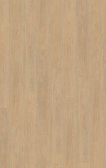 Belakos Terreno Rigid Click 610