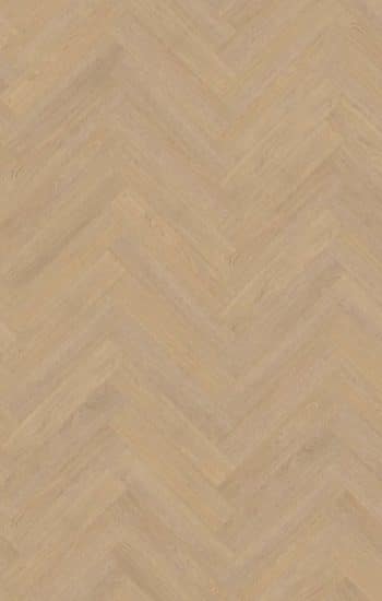 Belakos Terreno Visgraat XL 61