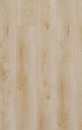 Gelasta Dynamic 2500 Natural Light