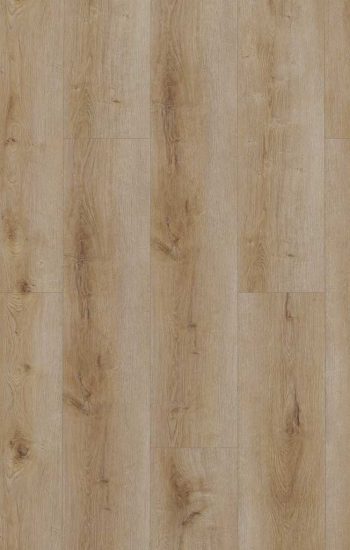 Gelasta Dynamic 2501 Natural Smoked