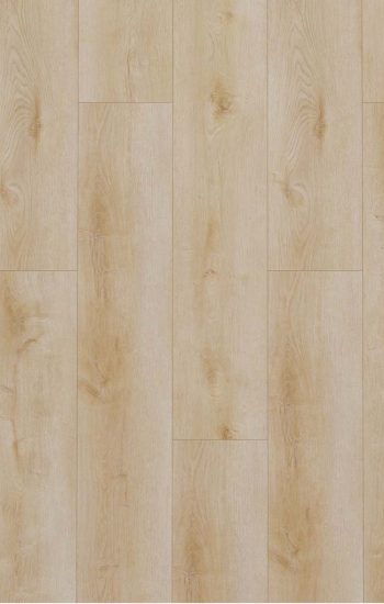 Gelasta Dynamic Rigid Click 3500 Natural Light