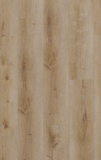 Gelasta Dynamic Rigid Click 3501 Natural Smoked