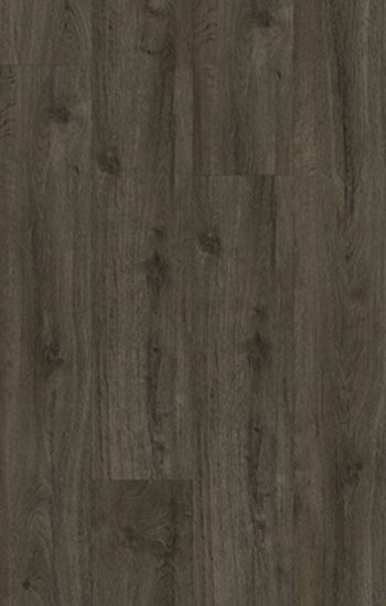 Gelasta Oakland 6106 Soil