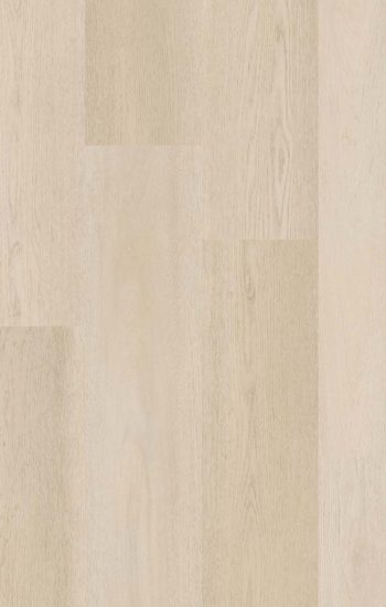 Therdex Premier 15081