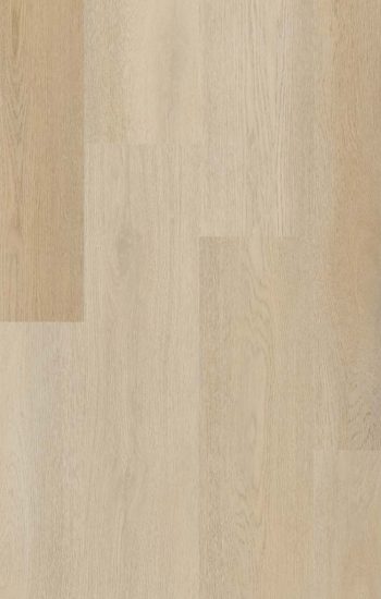 Therdex Premier 15082