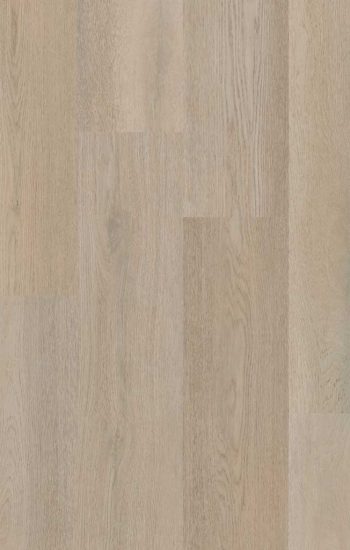 Therdex Premier 15083