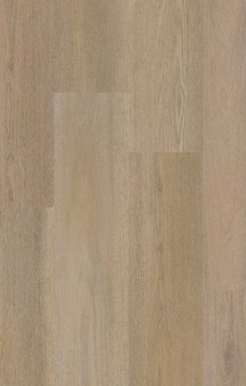 Therdex Premier 15084